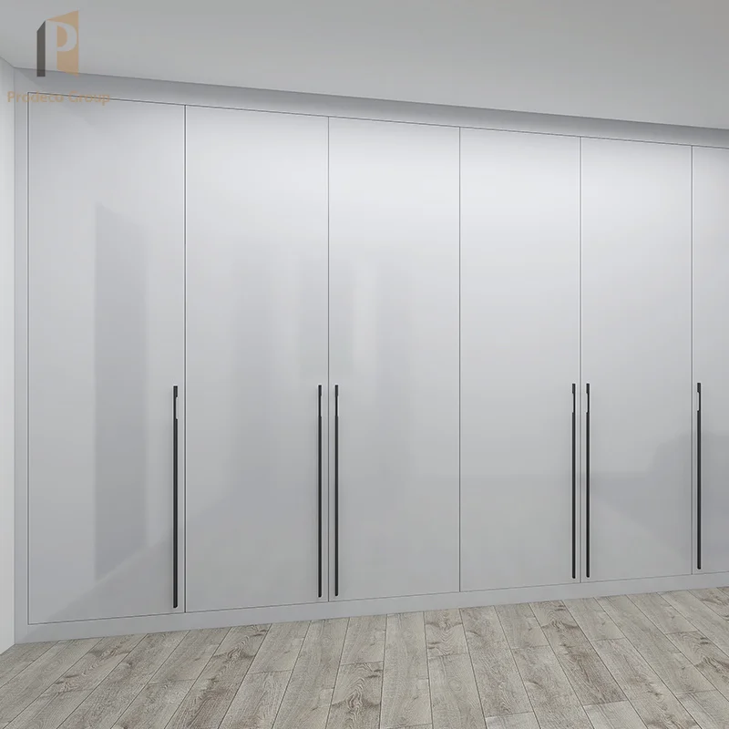 Double Door Wardrobe Interior Wardrobe Modern European Style Wardrobe