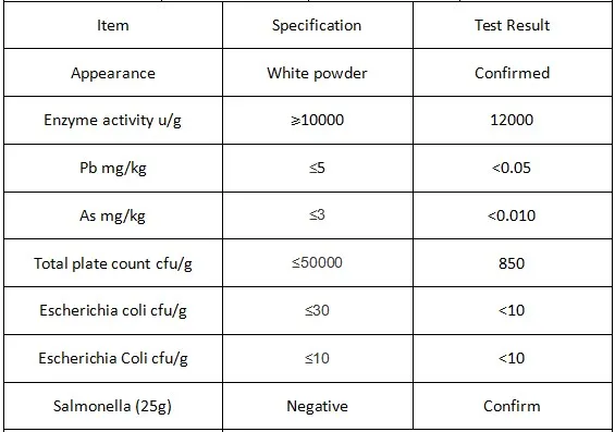 Food Grade Enzyme Preparations Lactase Powder