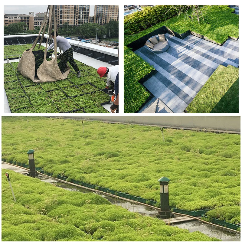 Free samples Hot-selling garden supplies hydroponic plant growing germination plastic seedling pots seed tray nursery trays