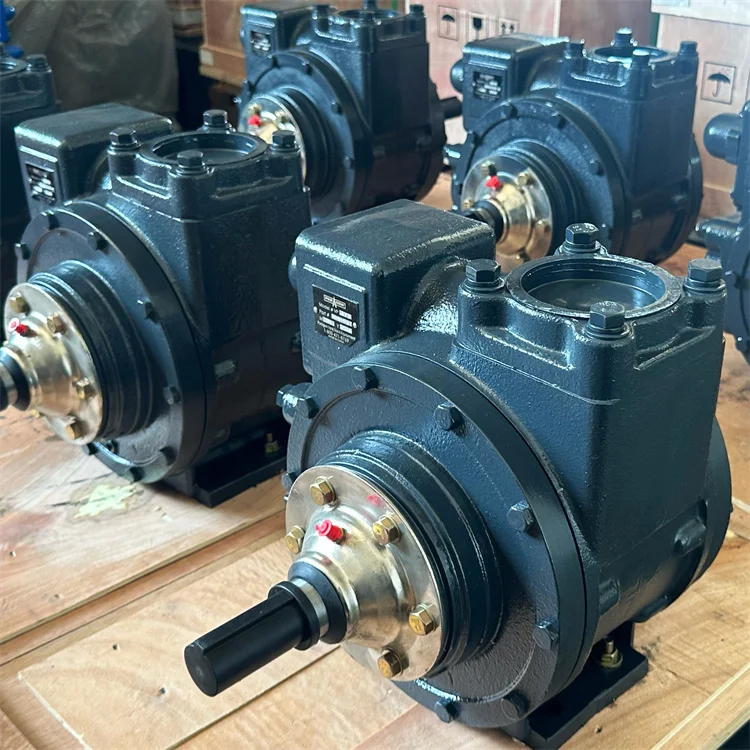 YB-100 4' Rotary Vane Pump Positive displacement pumps Fuel & Oil Transfer Pumps