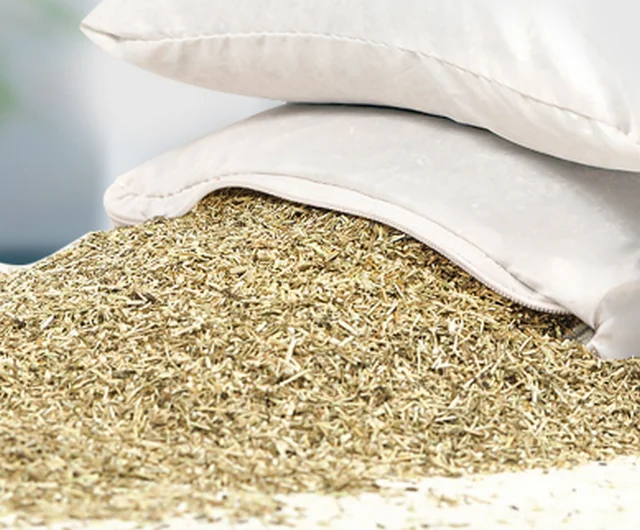 Wormwood Fiber Material Bone Shape Pillow Disassembled and Washable Health Pillow with Spine Protection Customizable Wholesale