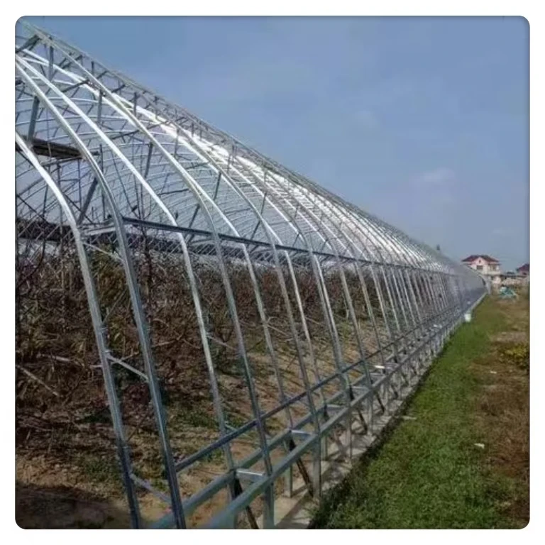 Оптовая продажа большая Однопролетная овощная пластиковая теплица сельское хозяйство арочный туннель тепличная пленка стальной материал завод