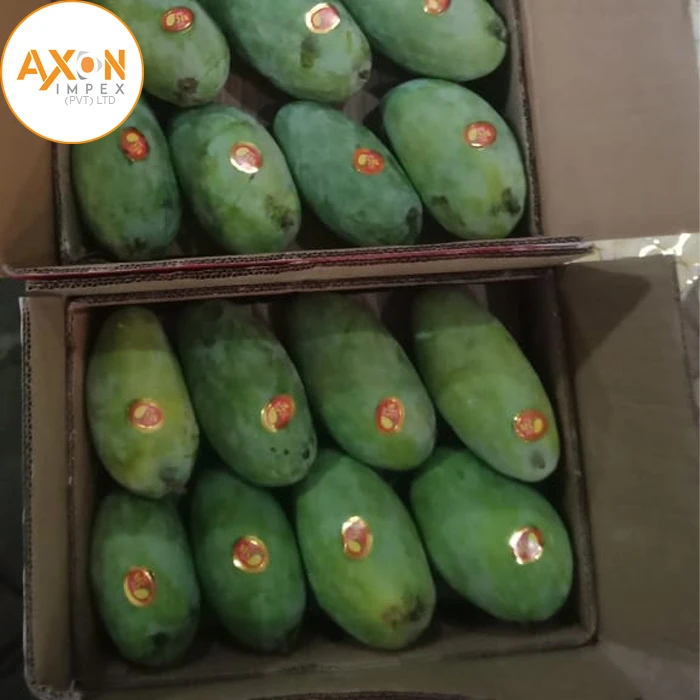 Свежие фермерские манго, медовые манго, пакистанские медовые манго