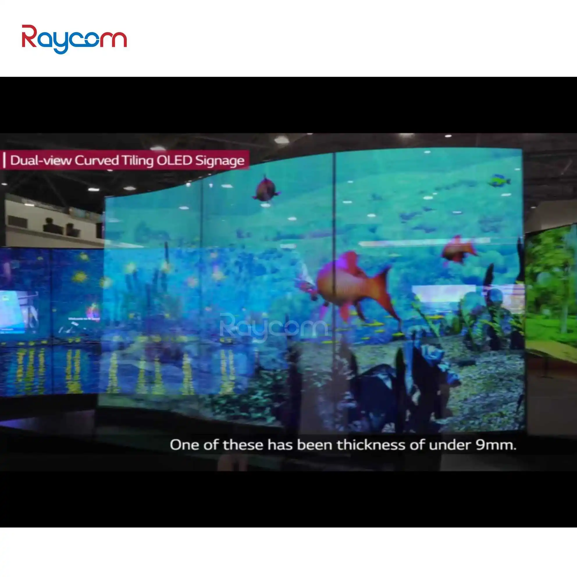 Raycom Commercial Advertising Machine 32 45 50 55 Inch OLED LED Display Screen Transparent Outdoor Use with SDK Function OEM