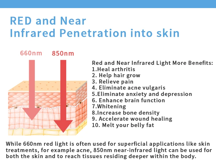Factory Fashion Equipment Red Light Therapy Belt Red Infrared 660nm 850nm  Animal Waist for Treat Arthritis