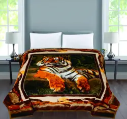 Anyu Animal Printed MOQ 1 Cheap Price Double Layer 210*230cm 400+400 GSM 100% Polyester Flannel Blanket in Stock Tiger Printed