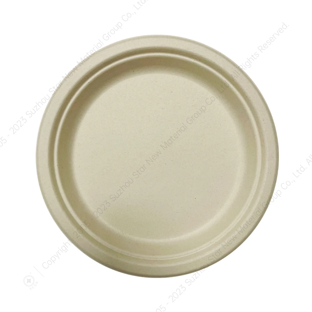 China Supplier Biodegradable Plate Disposable Sugarcane Bagasse Pulp Plates Bowl