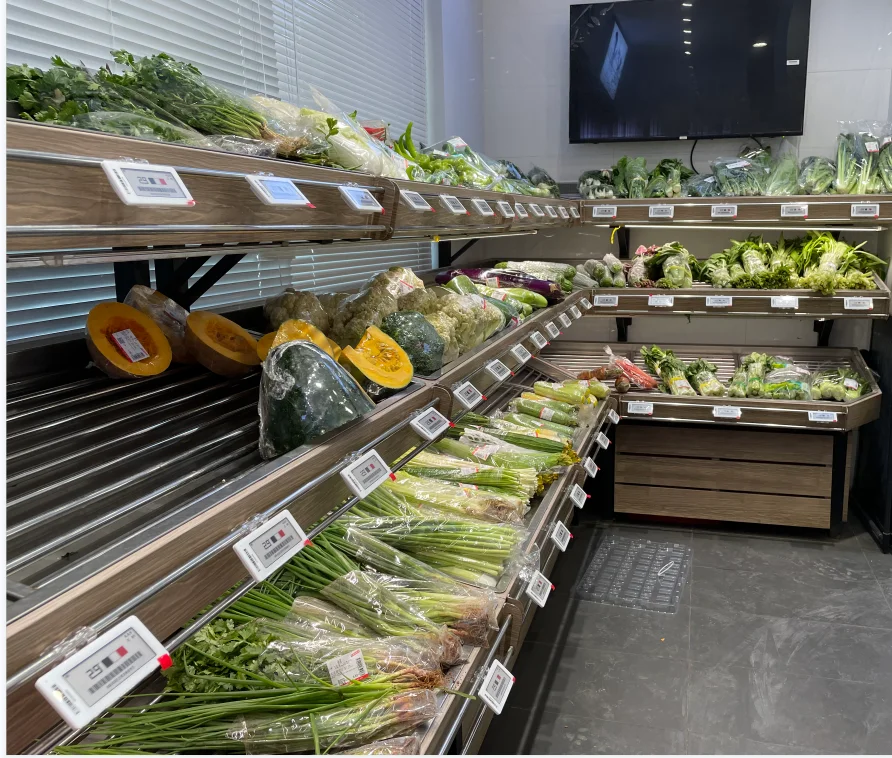 PVC Shelf Electronic Digital Price Tag Labels Holders for Supermarket Plastic shelf label Electronic shelf talker