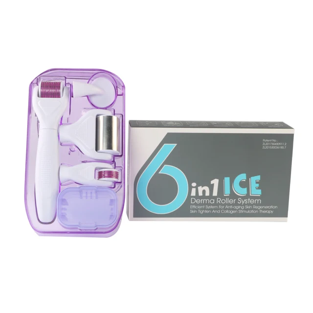 Detachable ICE Derma Roller 6 in 1 with ICE + 720 + 300 + 12 Needle / Skin Care Wrinkle Remover