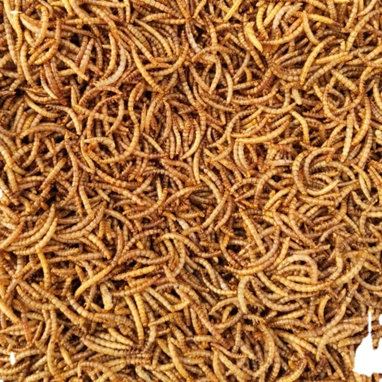 
 Китайский поставщик, оптовая продажа, низкая цена, сушеные черви для птиц, рыб, корм для домашних животных  