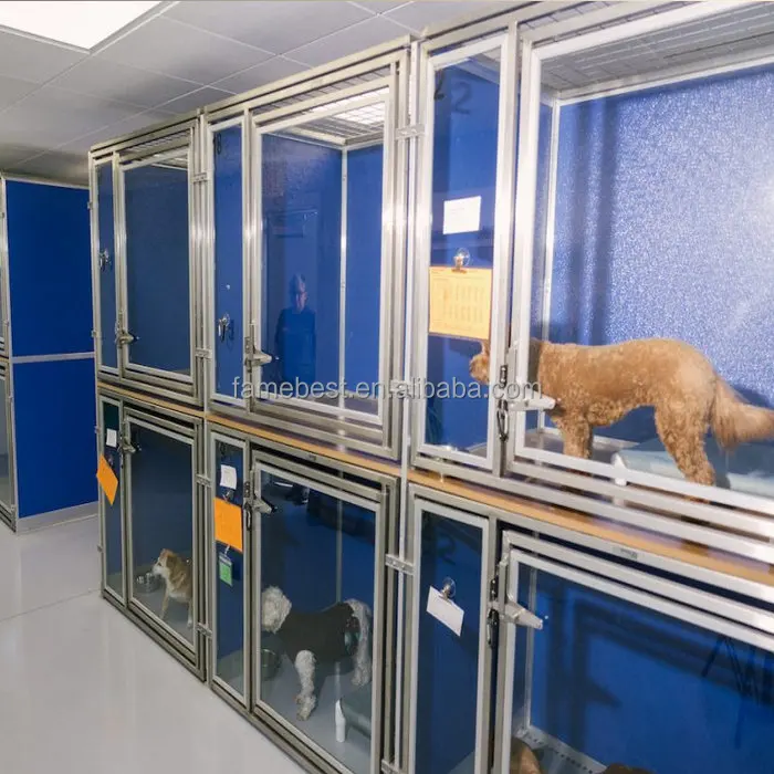 Tempered Glass Dog Kennel Runs Double Decker Kennel  The Quad Kenne