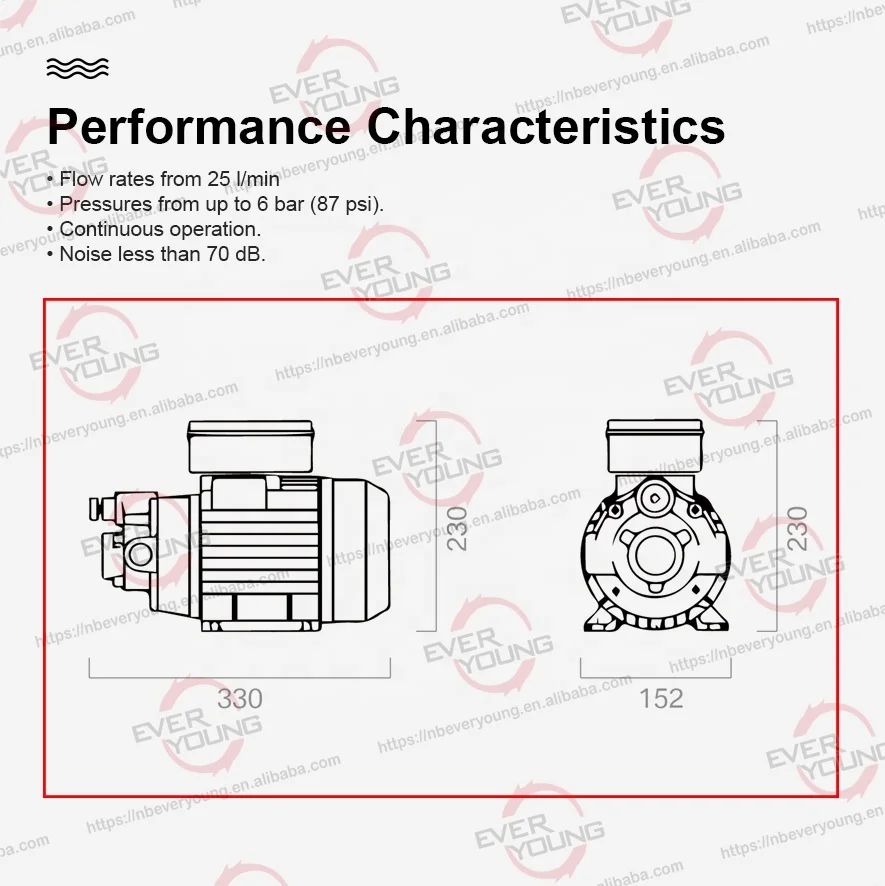 Lubricating oil transfer pump 220V AC vane type electric oil pump
