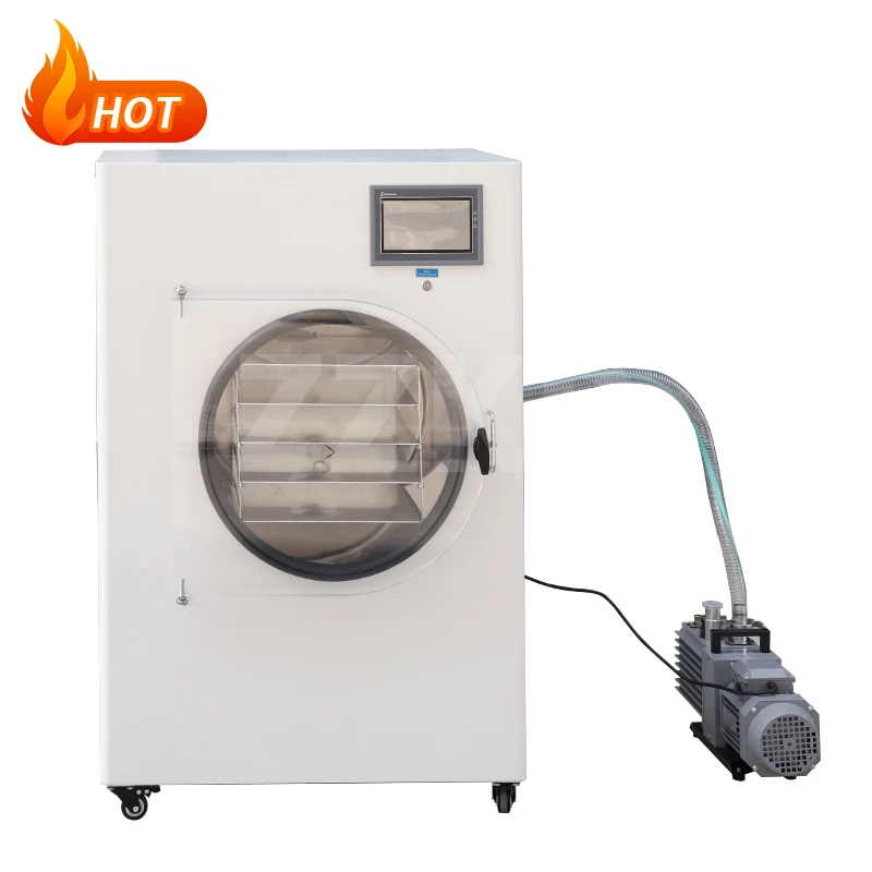 Mini Commercial Food and Vegetables Freeze Vacuum Drying/Dryer Machine