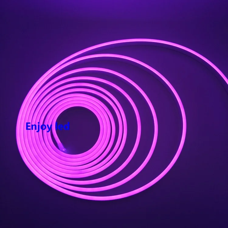 Shenzhen factory good price high quality waterproof 12V 24V silicone led neon flex light mini 6*13 rgb sign decoration