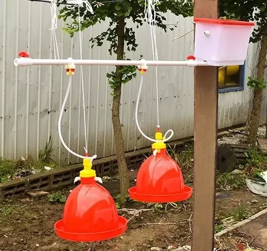 GREAT FARM Plasson Automatic Drinker Automatic Drinking Fountain for Broiler Duck and Geese Poultry Bell Type Automatic Drinker