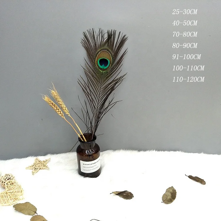 Long Tassel Peacock Feather New Peacock Feather Hand Fan Dancing Bridal Party Peacock Feathers Long for Wedding Centerpieces