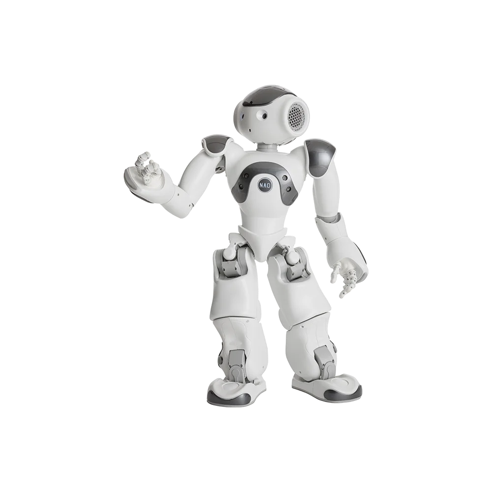 SoftBank Robotics Educational Intelligent Robots For STEM K12 & In-Deepth AI Learning Education, Humanoid Legged Little Robot