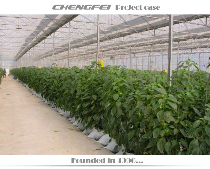 Multi-span agricultural flower vegetable plastic commercial etfe pe film greenhouse supplier for sale