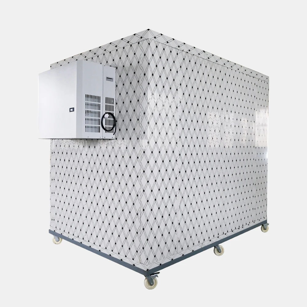 Freezer freezer Mobile container storage freezer