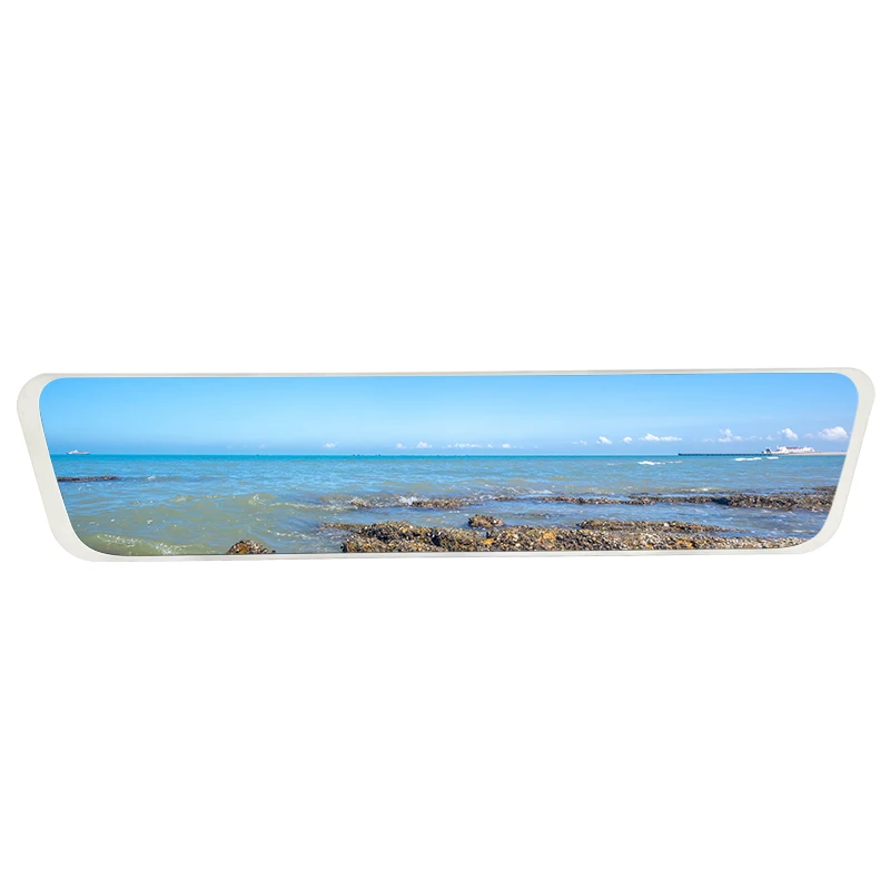 LCM 11.66 inch TFT Display Manufacture Customized LCD Module MIPI interface car Vehicle Mount 380*1920 bar type High Resolution