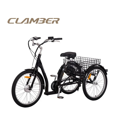 Electric tricycle used for elder person with 3 wheels cargo bike/bicycle