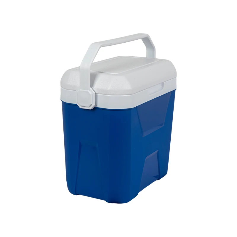 Customized Outdoor Camping Large Capacity Portable Refrigerator Insulated Storage Ice Cooler Box With Detachable Cover