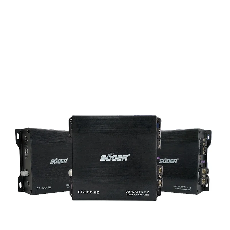 Suoer CT-300.2D small size big power car audio amplifier 2 channel car amplifier