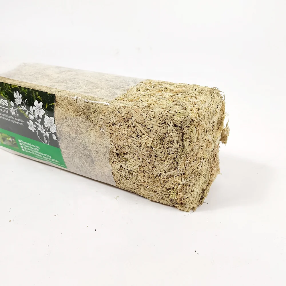 High Quality AAAAAA Sphagnum Moss For Orchids Plantas Naturales And Reptile Subtrat 500G/Bag Long Fiber Sphagnum Moss For Sale