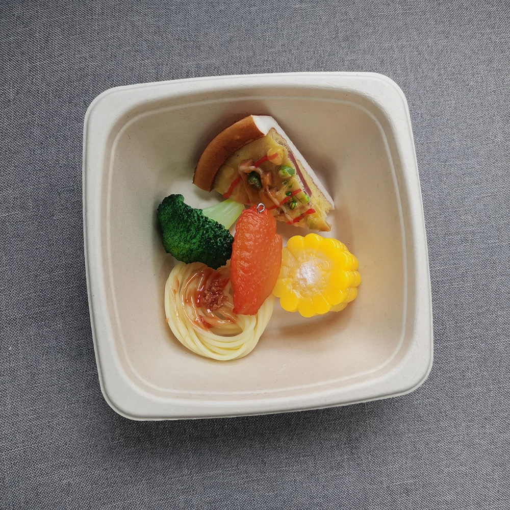 Bamboo Square Bowl Biodegradable  compostable sugarcane pulp salad bowl