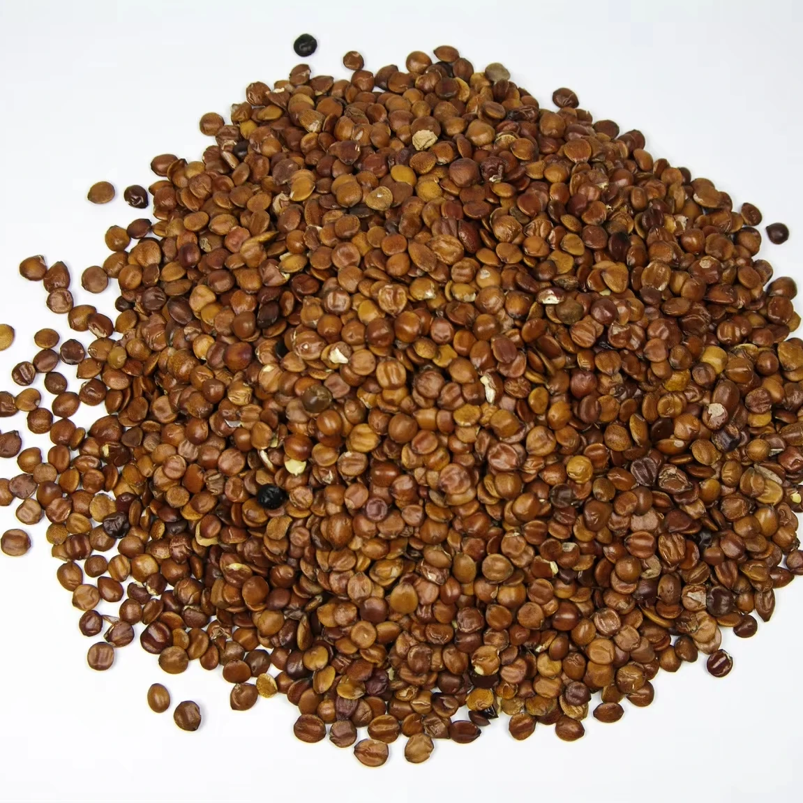 Natural Suan Zao Ren Spices & Herbs Dried Spina Date Seeds SEMEN ZIZIPHI SPINOSAE Single Herb Spice