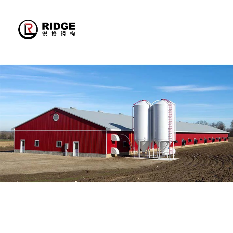 Fast assemble construction hen rooster steel frame house prefab poultry barn modular building