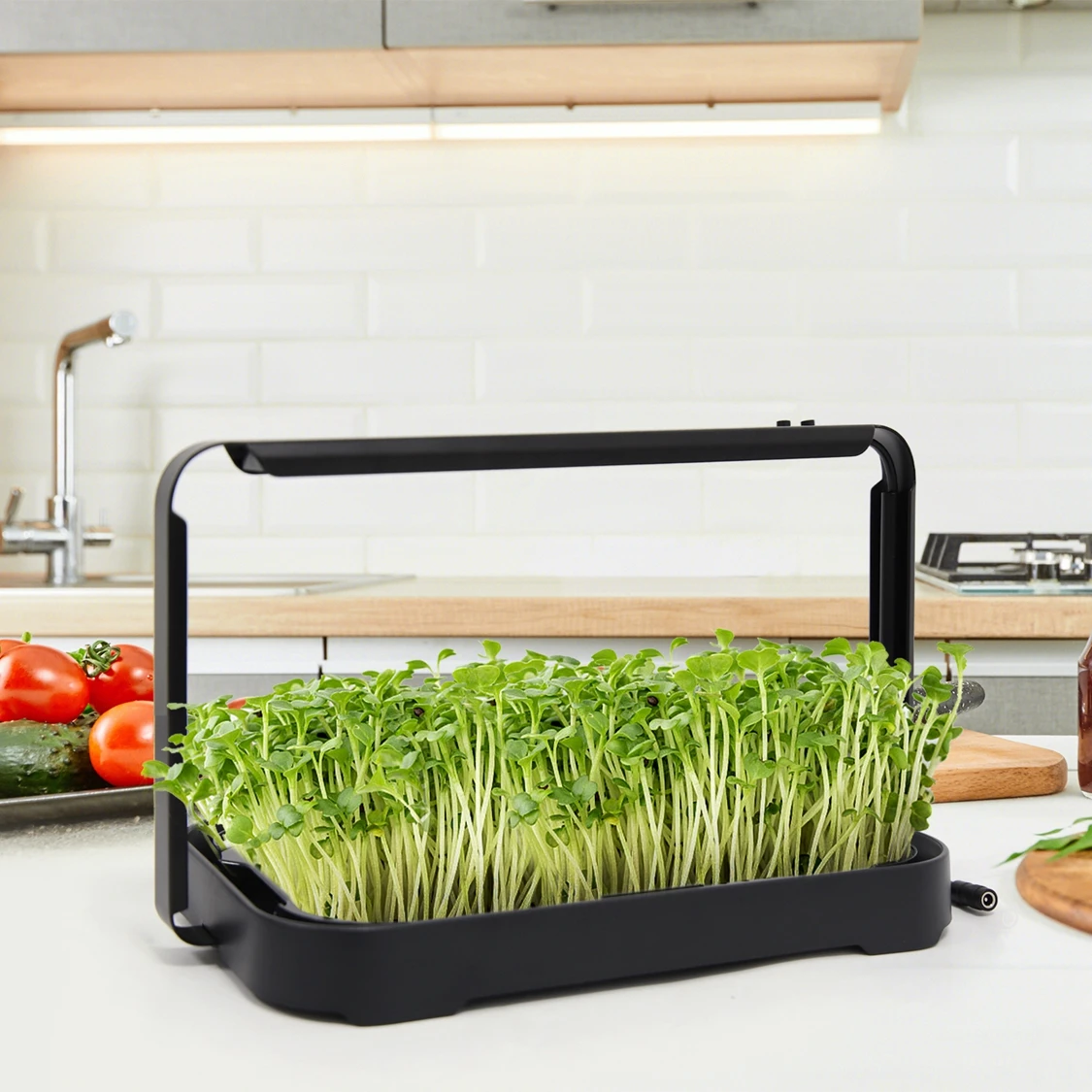 Набор для выращивания растений и гидропоники