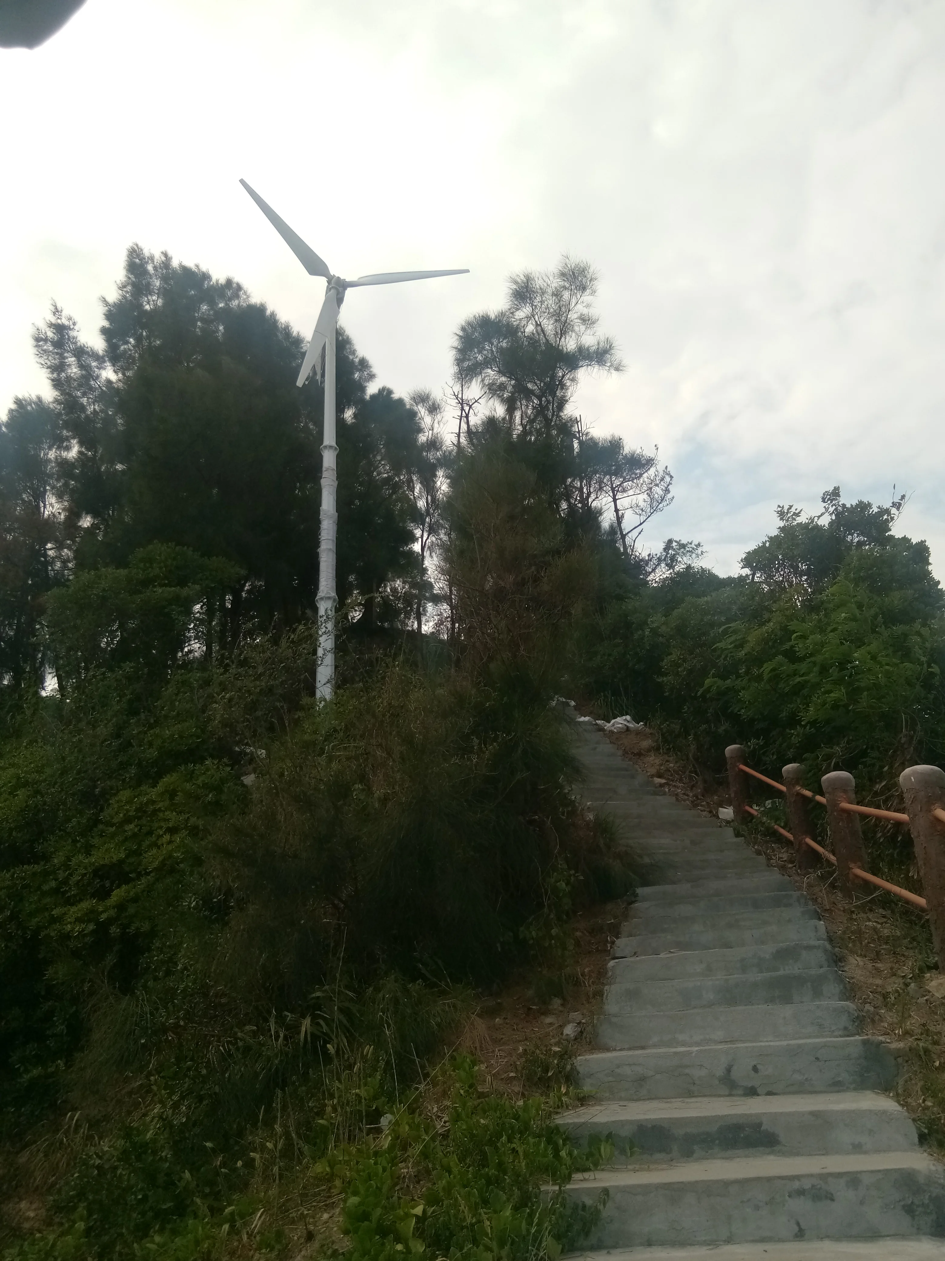 Real 7500w CE Certificated customized 8KW 240v Wind Turbine Generator for home use