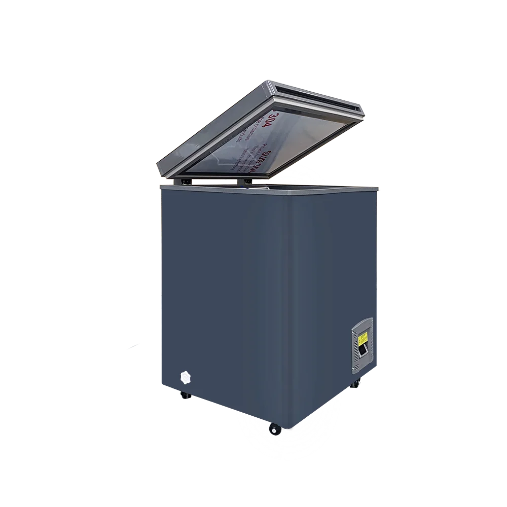 -60C New Style 110L Home Low Working Noise Ultra Low Temperature Chest Freezer DW-60W110