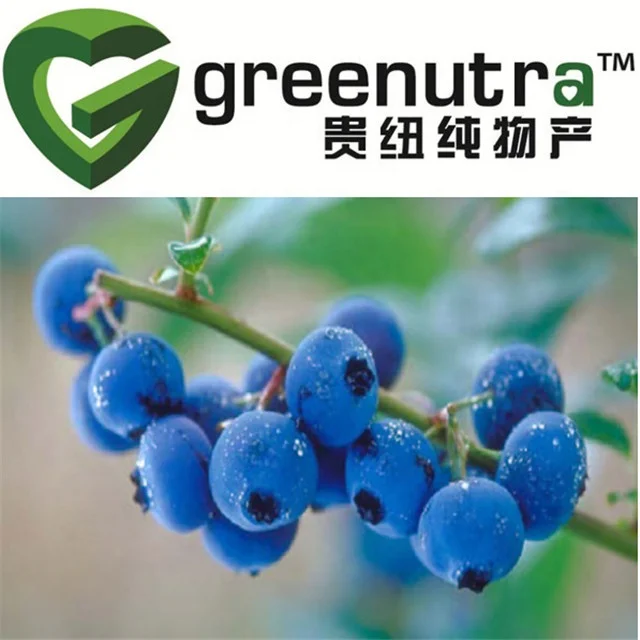 Bilberry Extract Powder