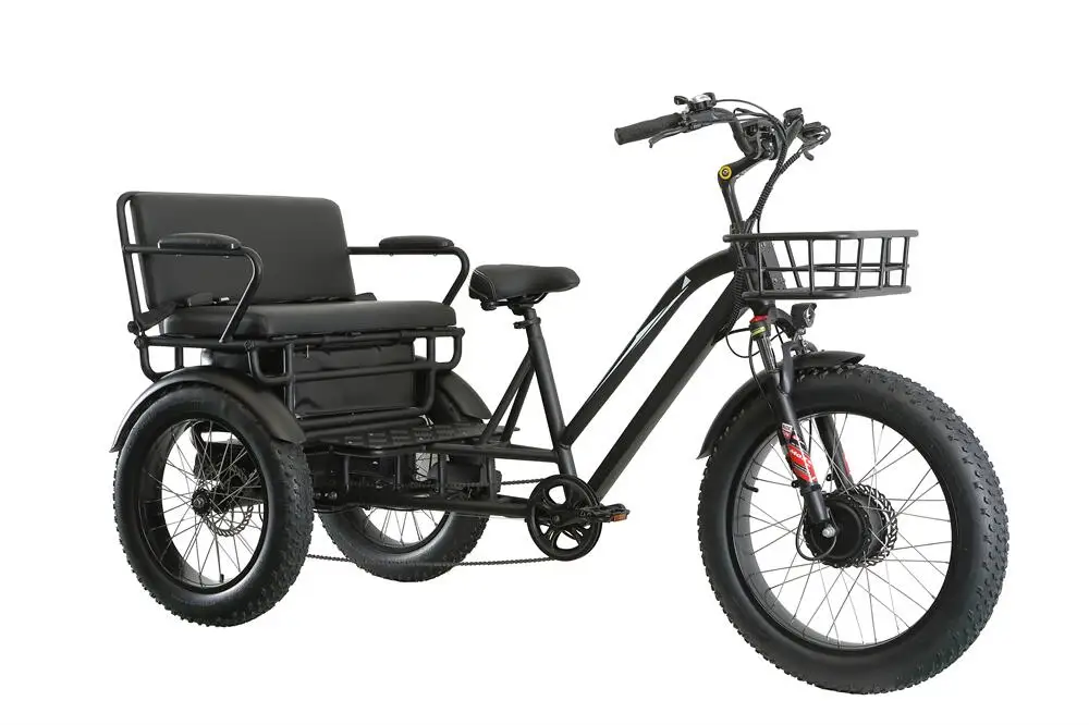 Tricycle Electric Trike heat insulation 20 Inch 750W Motor Fat Tire 3 Wheel E Bike Tricycle
