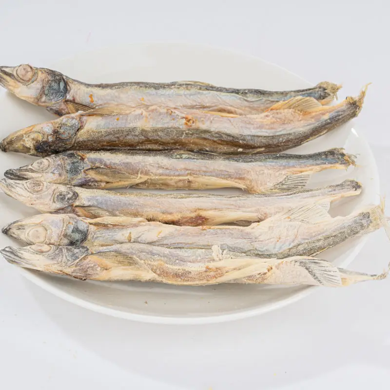 Hot pet snacks Freeze-dried fish best snacks for pet training and treatment