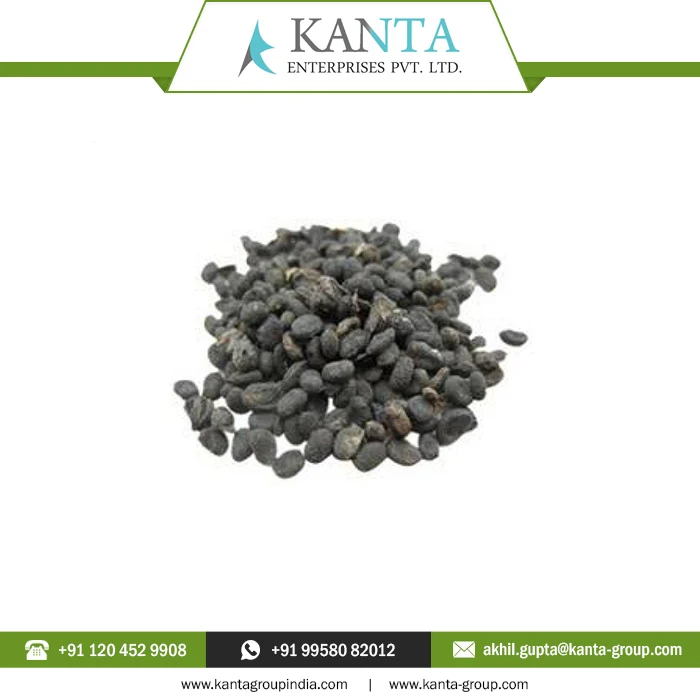 Private Label OEM / ODM Top Quality Carrier Oil  Psoralea Seed Oil at Wholesale Price From Indian Supplier