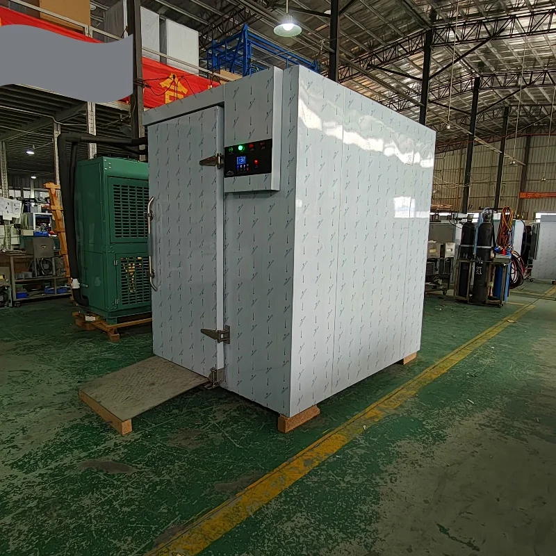 High production Quick Freezer front and back doors design
