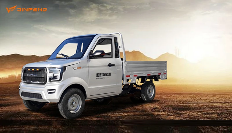 JINPENG прямые продажи с фабрики большой диапазон заказных цветов 3 колеса Ev транспорт для