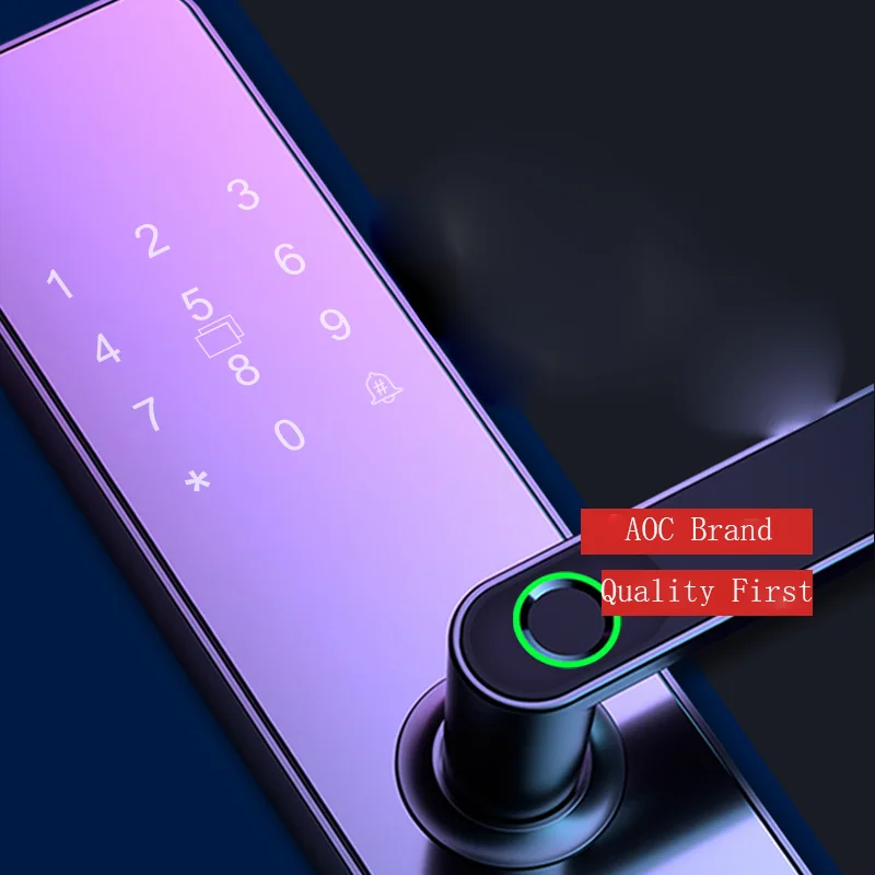 Digital Smart Doorlock Passcode Biometric Home Small Electronic Mini Fingerprint Door Handle Lock