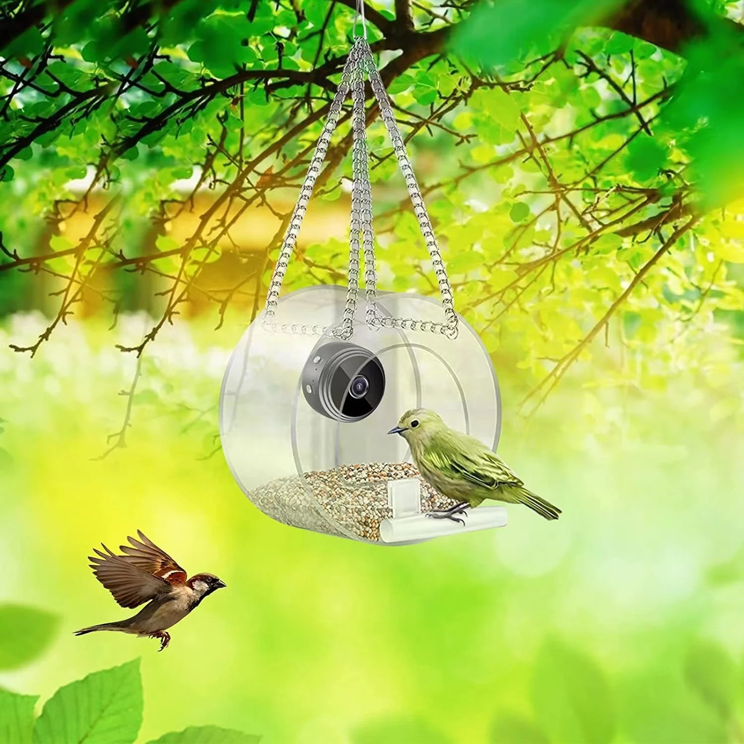 Outdoor Garden Wildlife Bird Food Feeder with Camera Wifi Control Real Time View and Recording Humming Bird Feeder