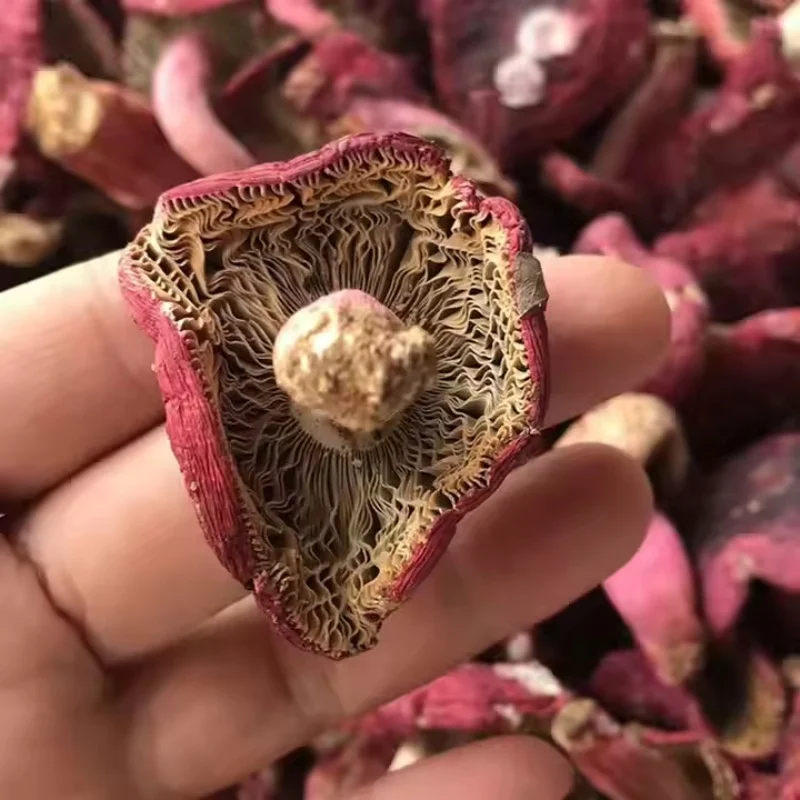 Хит продаж Сырье 100% органического Сушеного Красного гриба для приготовления пищи и приема