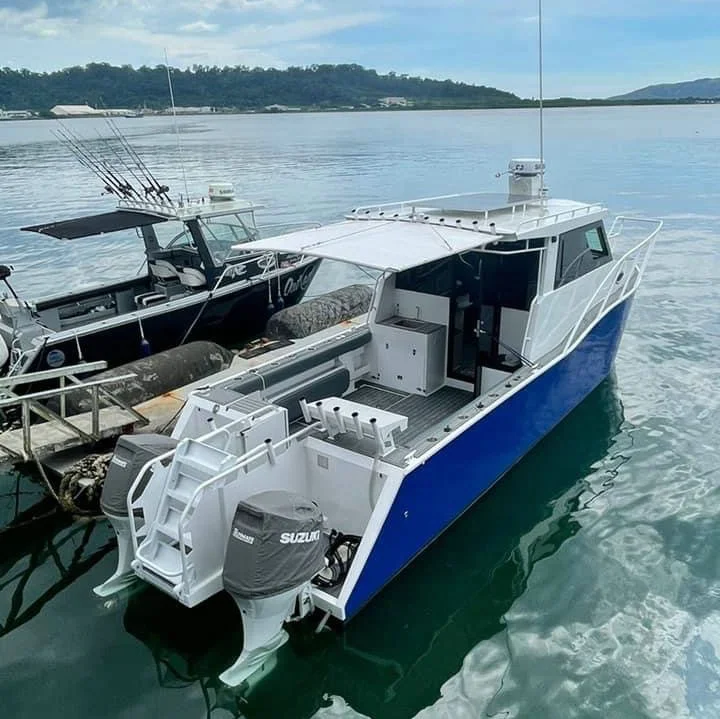 New 8.8m /29ft aluminum catamaran boat with outboard motor design