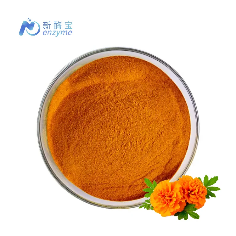 Novenzyme Factory Price 100% Natural Water Soluble Marigold Flower Extract 5% Lutein Powder