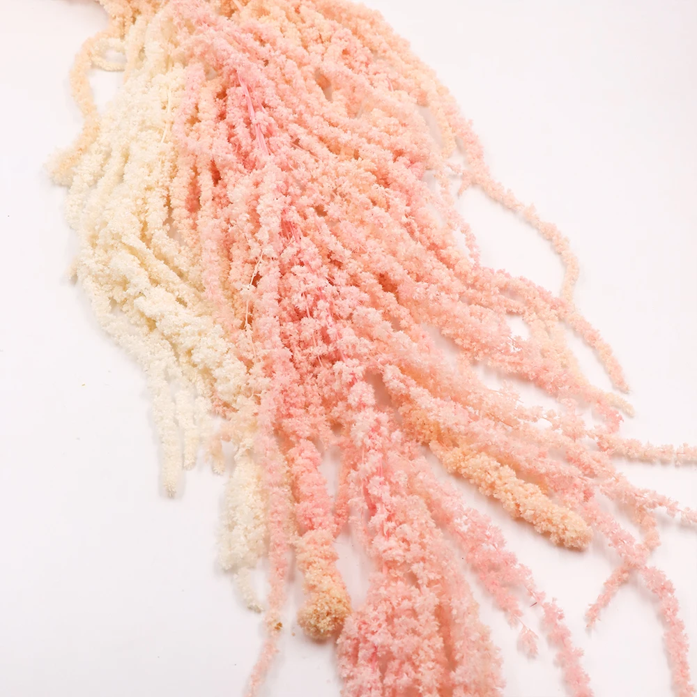 2022 Yunnan wholesale real natural touch flower preserved foliages amaranthus preserved flower