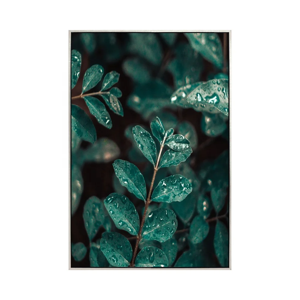 Домашний декор, растения, холст, фотопечать, HD, настенная рамка, картина с рамкой, холст, печать