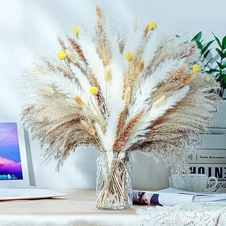 Attractive Price New Type Home Decoration Grey Bunny Tail Pampas Dried Flower