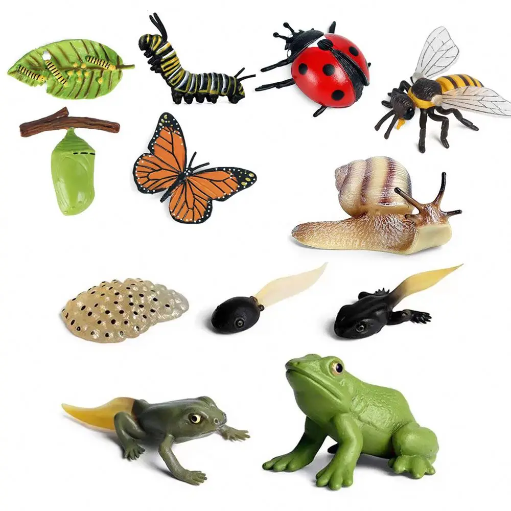 montessori life cycle toy lifelike insect animal figurines education life cycle figurines toy