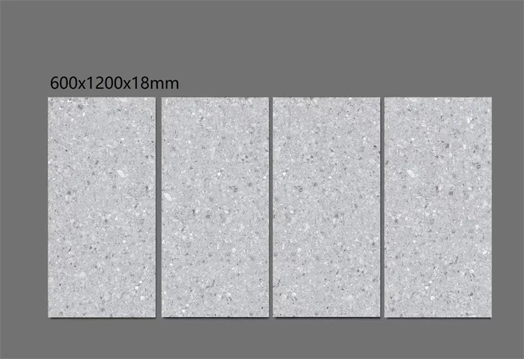 Factory Direct Wholesale Price Weather-resistant Innovative 600*1200*18 mm Outdoor Wall Tiles for Trendsetting Facades